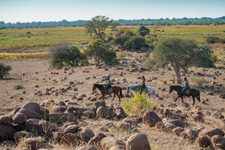 Botswana-Mashatu-Land of the Giants - Tuli Riding Safari